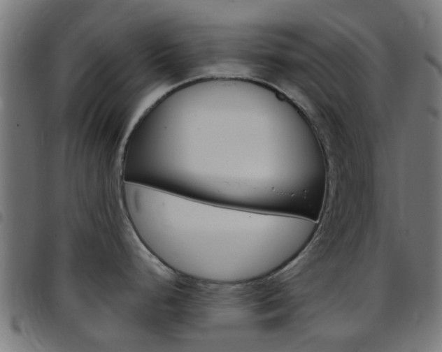 X0000097751248200803070834