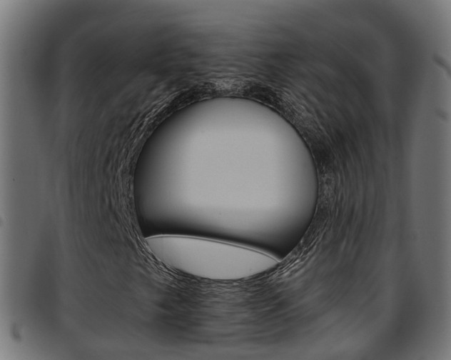 X0000097751249200803070834