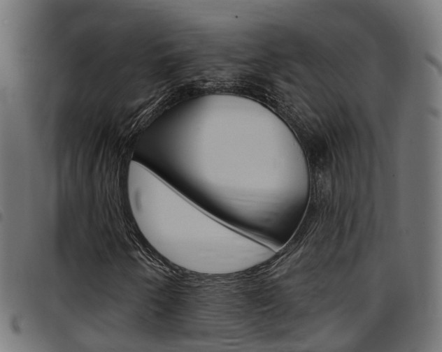 X0000097751250200803070834