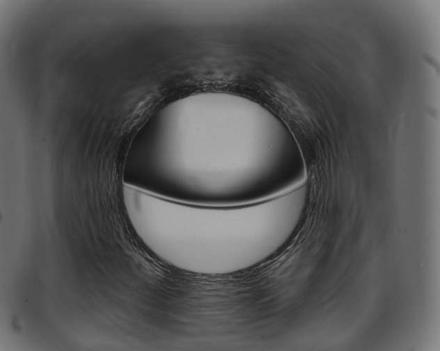 X0000097751252200803070834