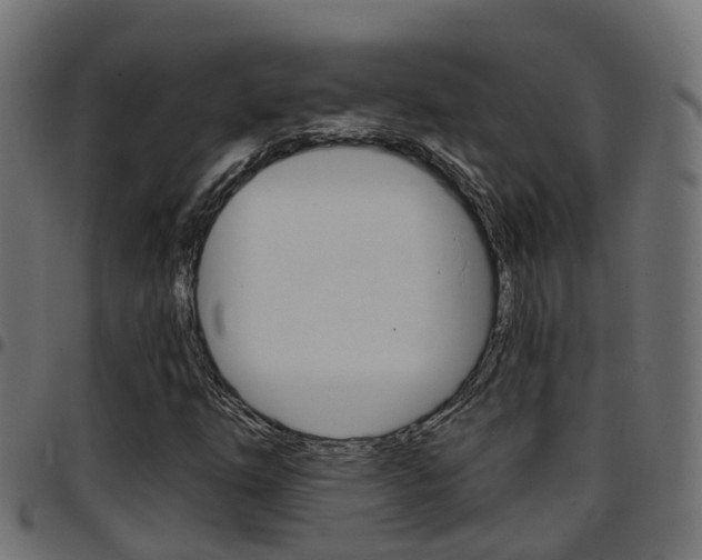 X0000097751254200803070834