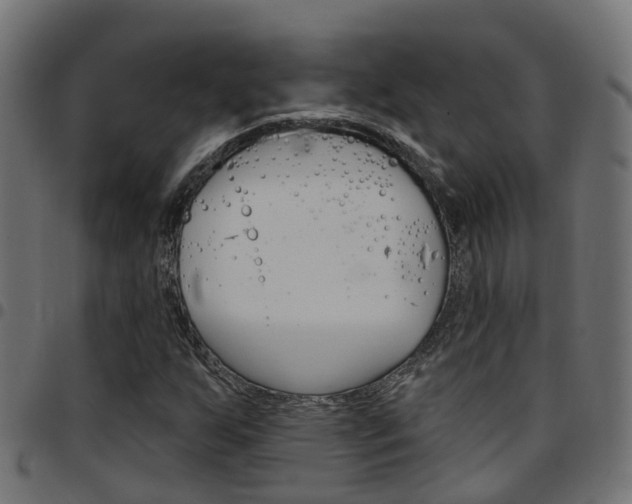 X0000097751255200803070834