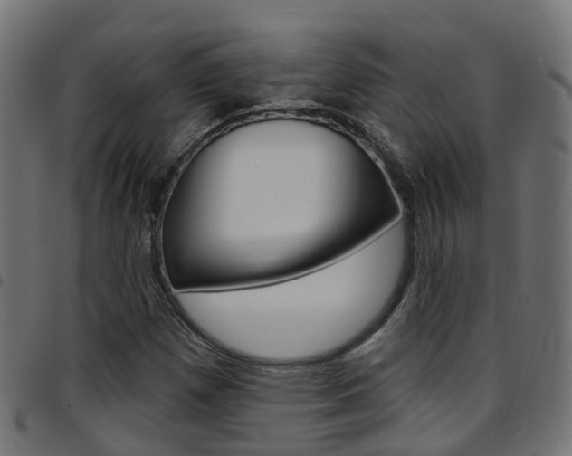 X0000097751257200803070834