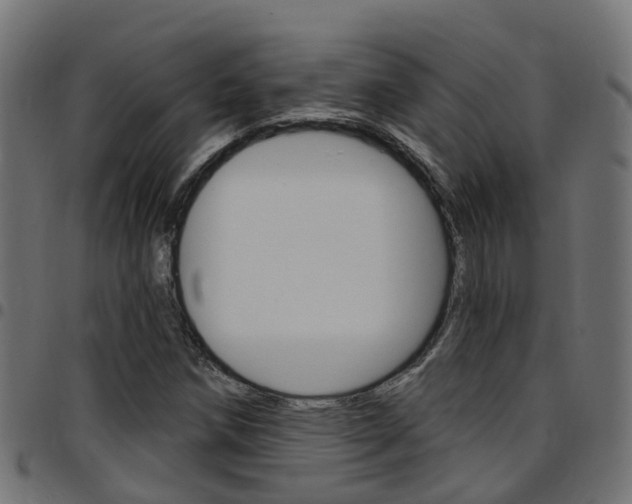 X0000097751258200803070834