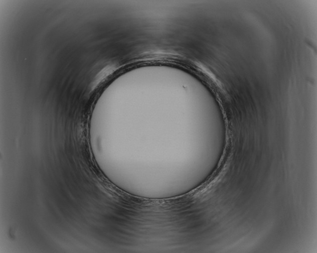 X0000097751259200803070834