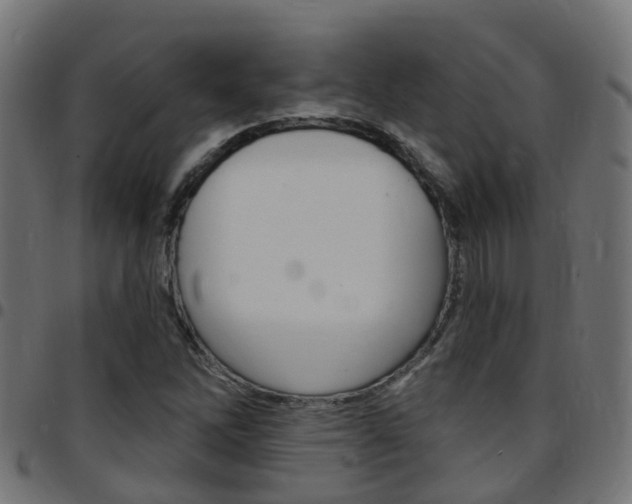 X0000097751262200803070834