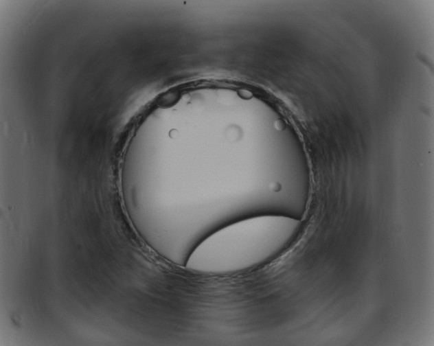 X0000097751263200803070834