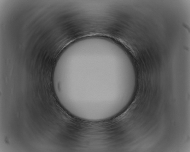 X0000097751265200803070834