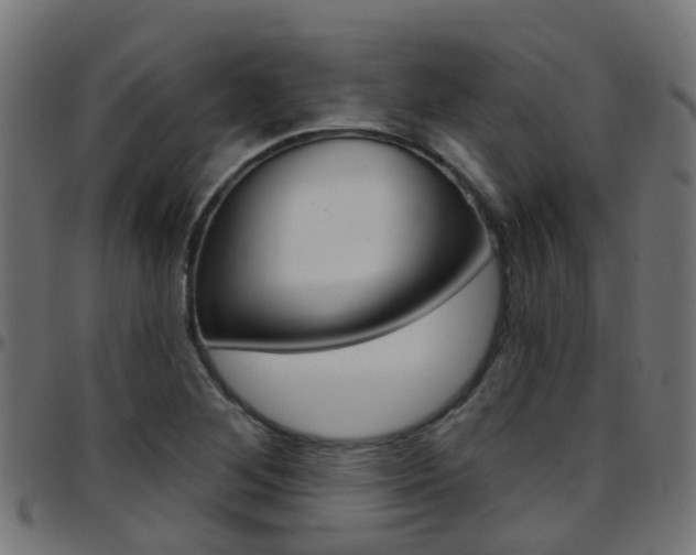 X0000097751268200803070834