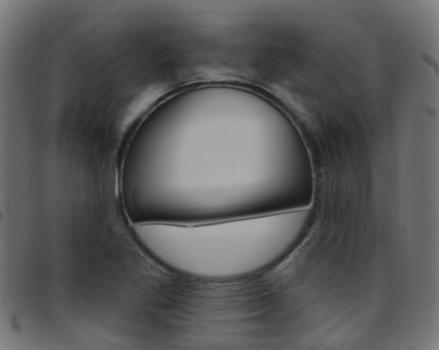 X0000097751269200803070834
