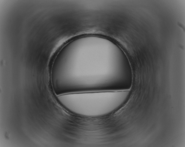 X0000097751270200803070833