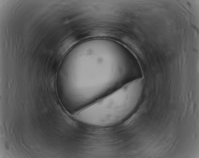 X0000097751273200803070833