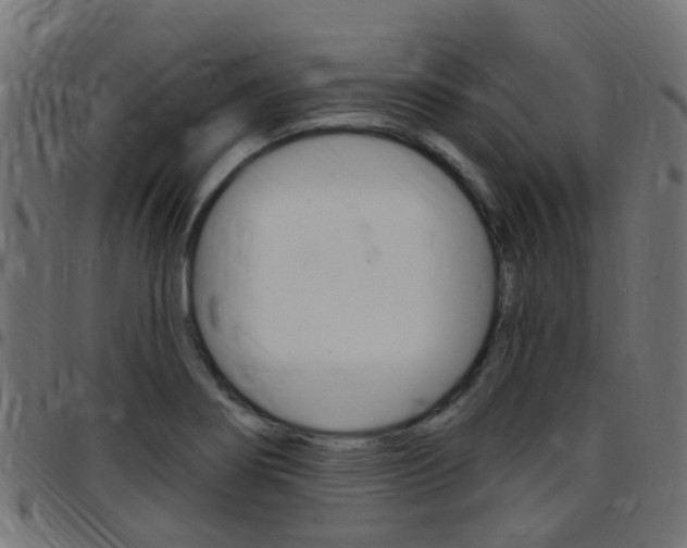 X0000097751274200803070833