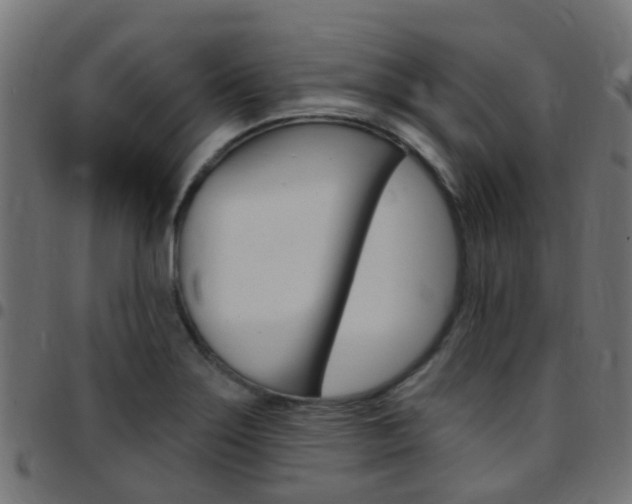 X0000097751275200803070833
