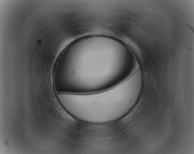 X0000097751280200803070833