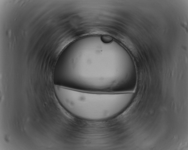 X0000097751281200803070833