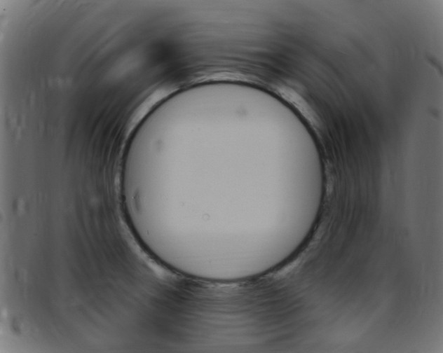 X0000097751282200803070833