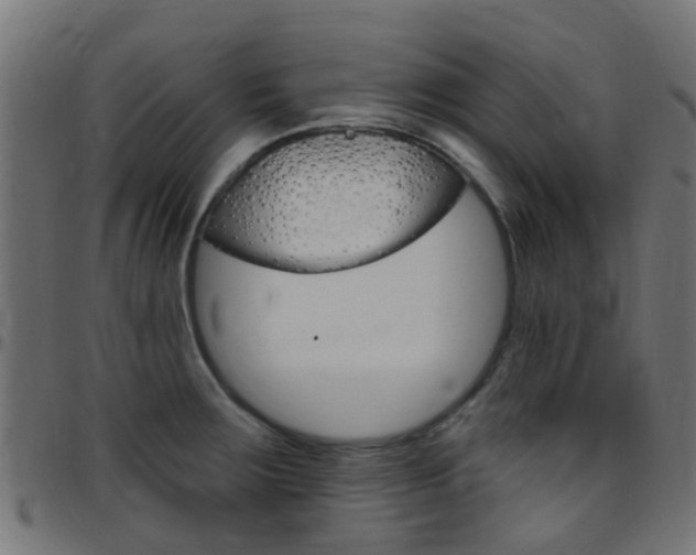 X0000097751283200803070833