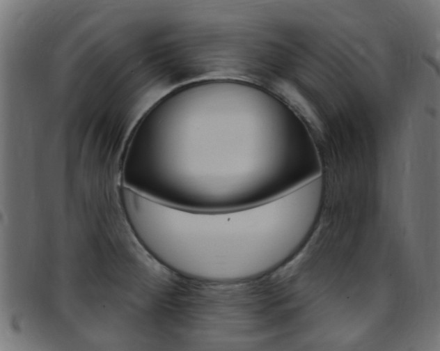 X0000097751284200803070833