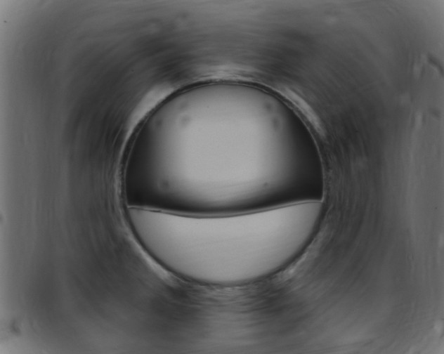 X0000097751285200803070833
