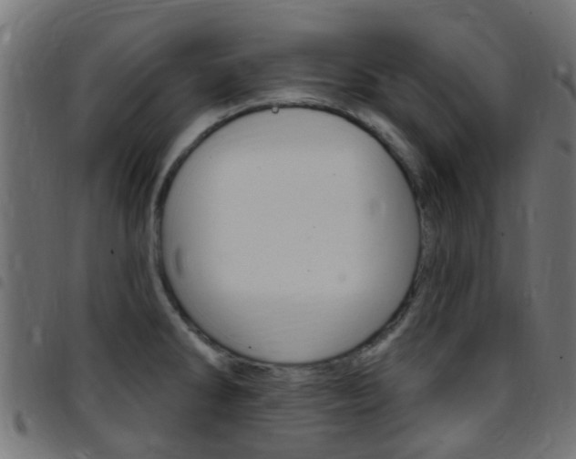 X0000097751286200803070833