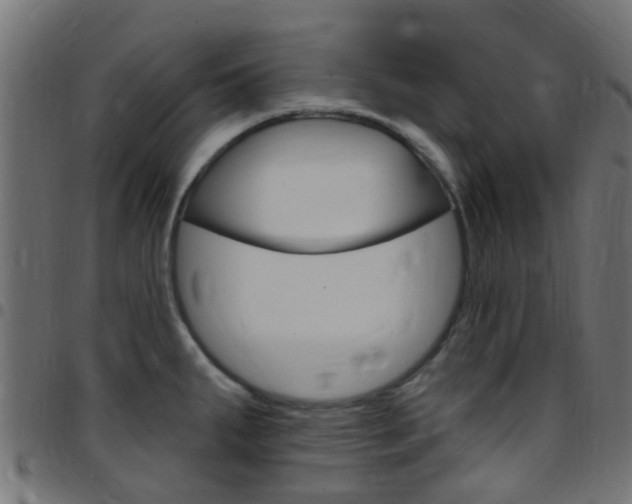 X0000097751287200803070833