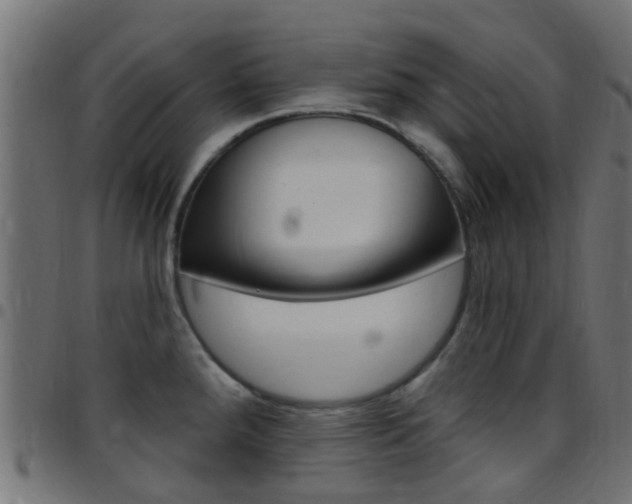 X0000097751288200803070833