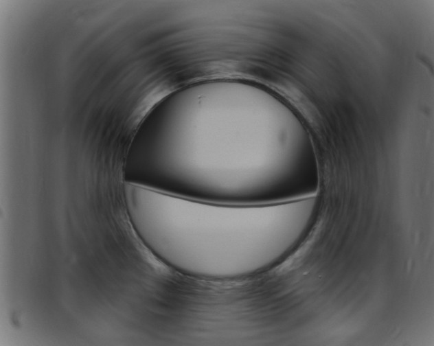 X0000097751289200803070833