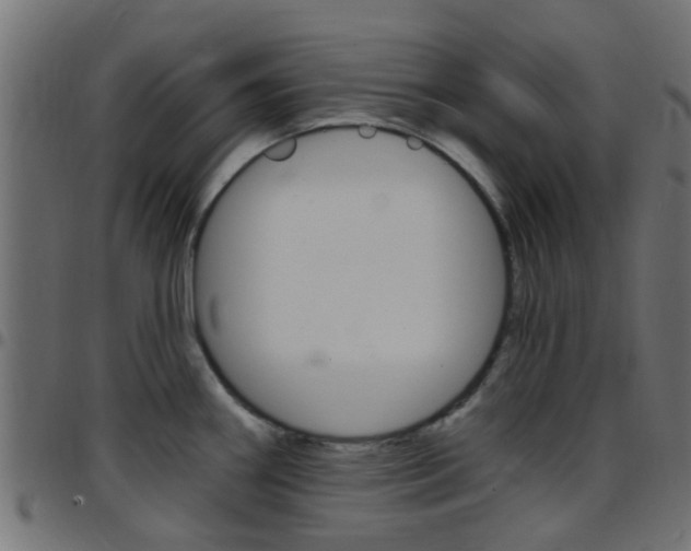 X0000097751290200803070833