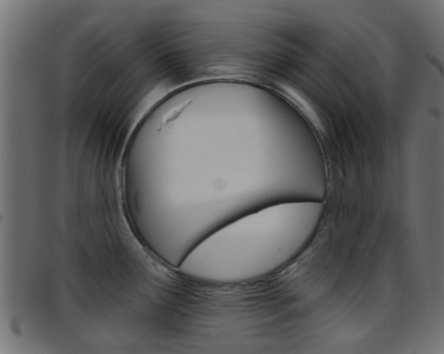 X0000097751291200803070833