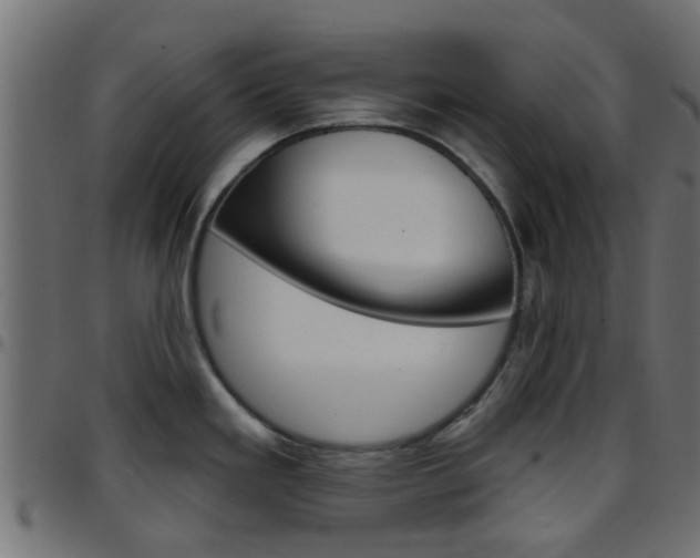 X0000097751293200803070833