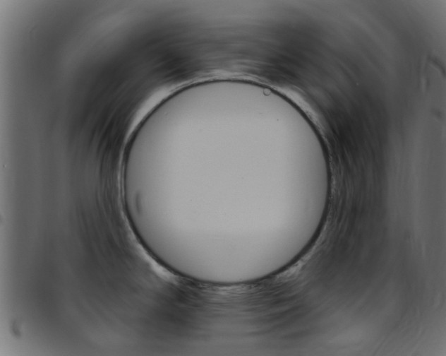 X0000097751294200803070833