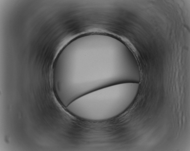 X0000097751295200803070833