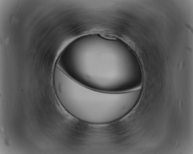 X0000097751296200803070833