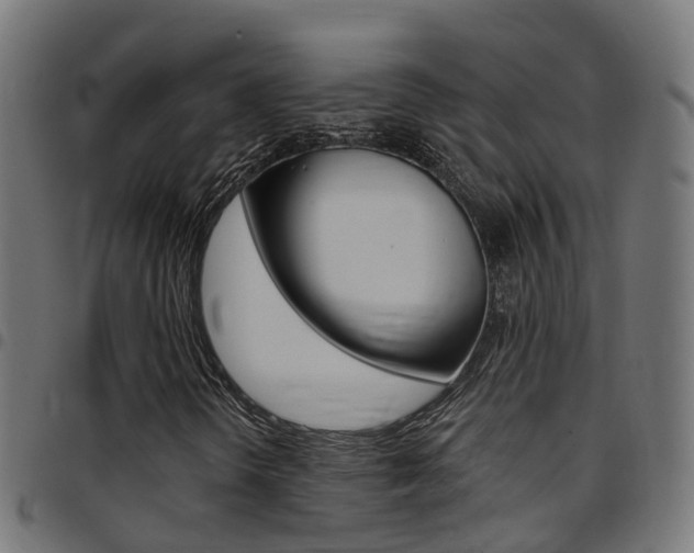 X0000097751298200803070832