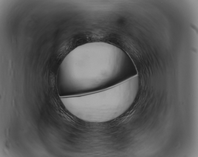 X0000097751299200803070832