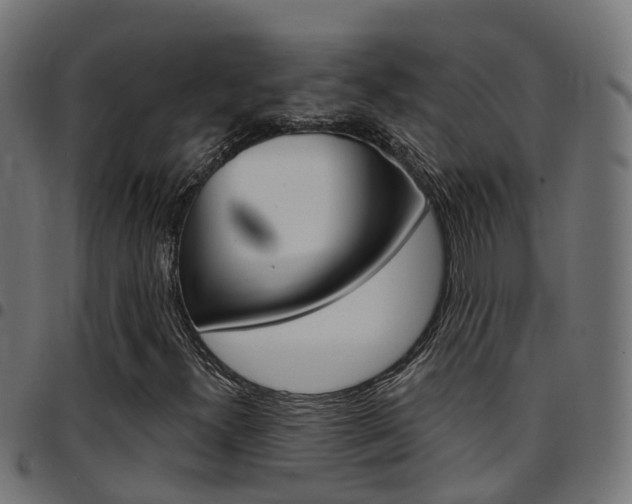 X0000097751300200803070832