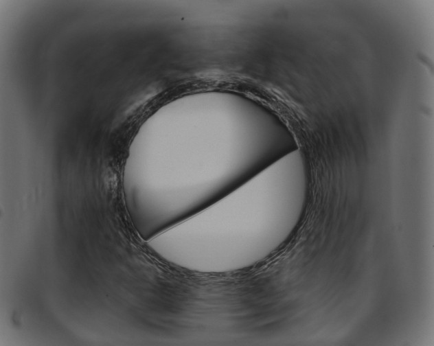 X0000097751302200803070832