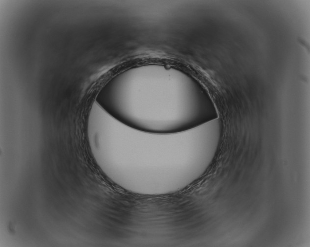 X0000097751303200803070832