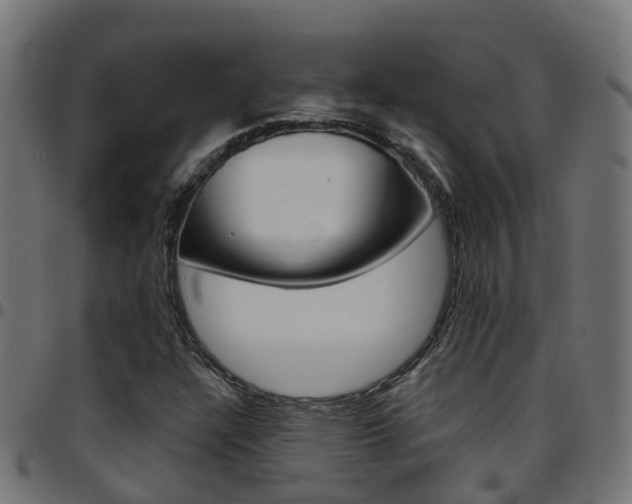 X0000097751304200803070832