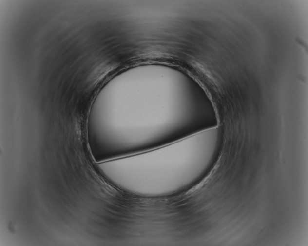 X0000097751305200803070832