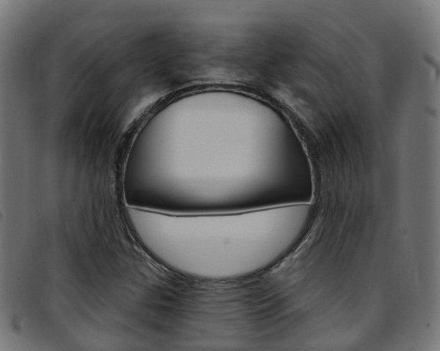 X0000097751307200803070832