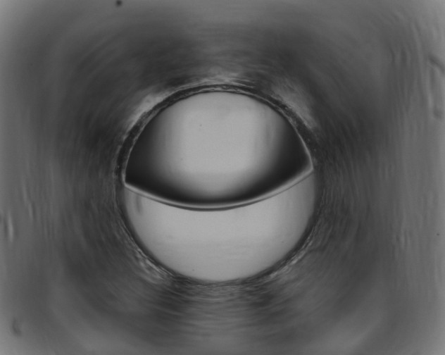 X0000097751308200803070832
