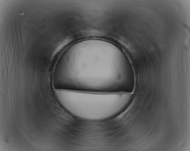 X0000097751309200803070832