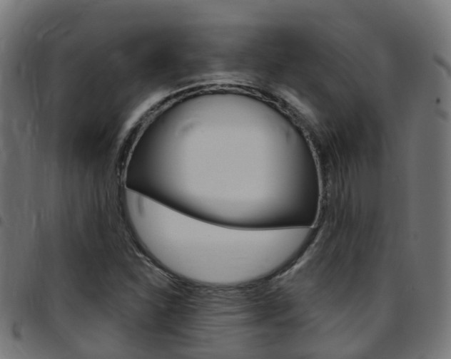 X0000097751310200803070832