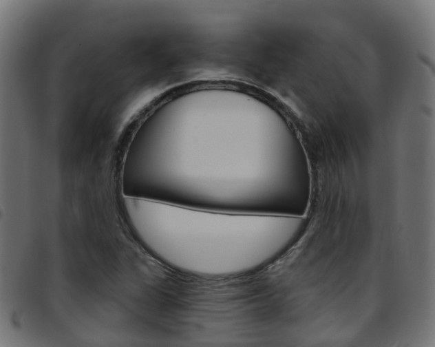 X0000097751311200803070833