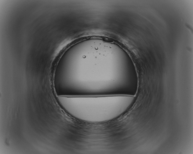 X0000097751312200803070833