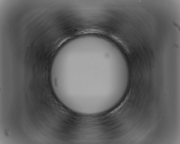 X0000097751313200803070833