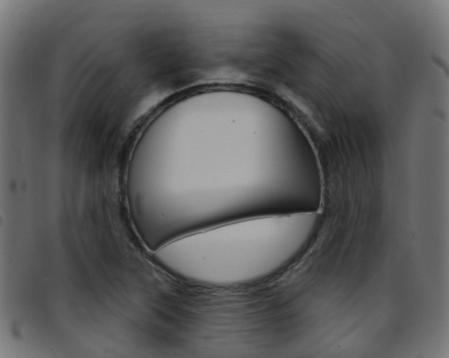 X0000097751315200803070833