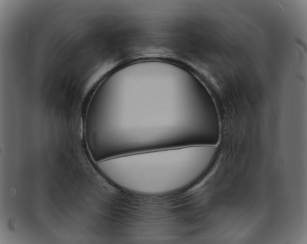 X0000097751317200803070833